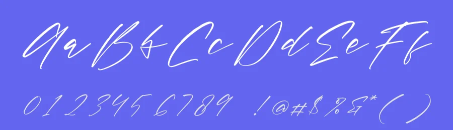 Blushelom Portnight Font by letterfabric — Script Handwritten Font — thumbnail 3