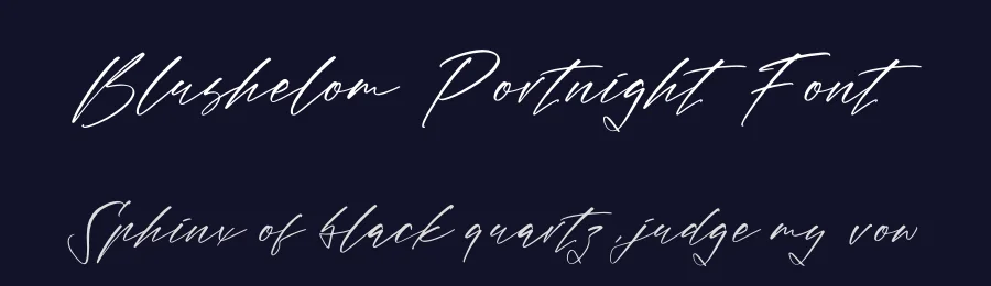 Blushelom Portnight Font by letterfabric — Script Handwritten Font — thumbnail 2