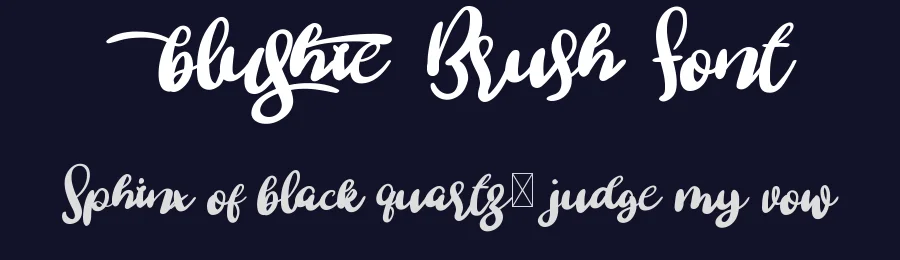 Blushie Brush Font by noahtype — Script Handwritten Font — thumbnail 2