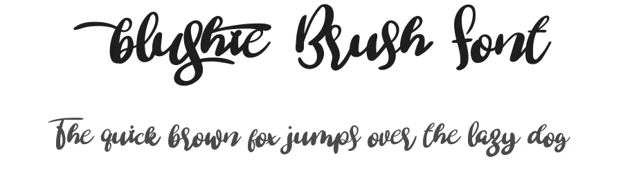 Blushie Brush Font by noahtype — Script Handwritten Font