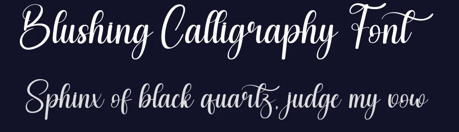 Blushing Calligraphy Font by creativeletter — Script Handwritten Font — thumbnail 2