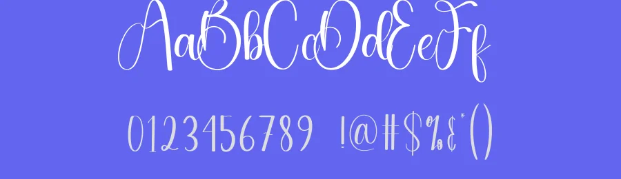 Blushing Calligraphy Font by andikastudio — Script Handwritten Font — thumbnail 3