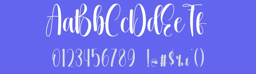 Blushing Script Font by creativeletter — Script Handwritten Font — thumbnail 3