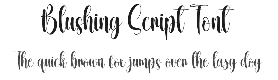 Blushing Script Font by creativeletter — Script Handwritten Font
