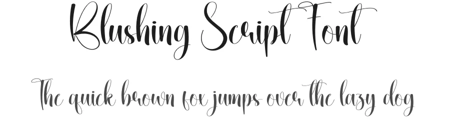 Blushing Script Font by creativeletter — Script Handwritten Font