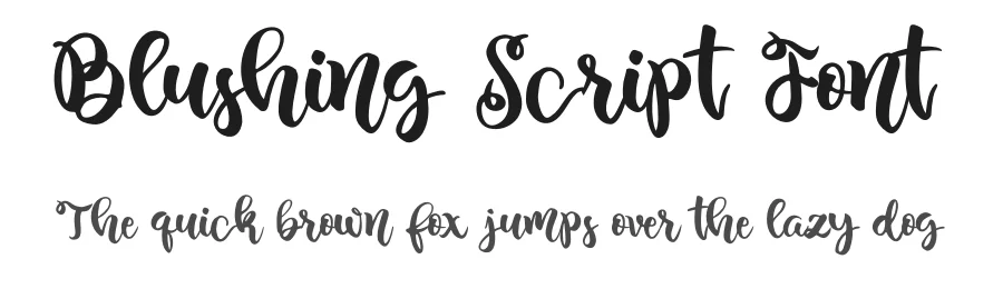 Blushing Script Font by agniardi — Script Handwritten Font