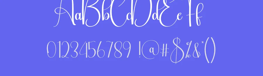 Blushing Script Typeface by creativeletter — Script Handwritten Font — thumbnail 3