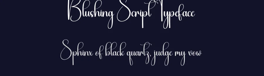 Blushing Script Typeface by creativeletter — Script Handwritten Font — thumbnail 2