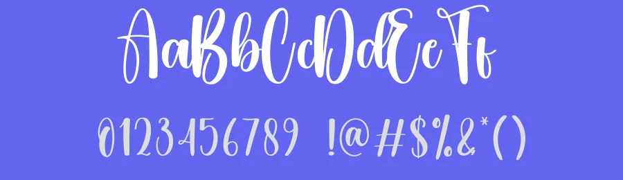 Blushing Script Typeface by creativeletter — Script Handwritten Font — thumbnail 3