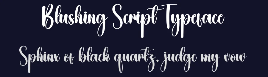 Blushing Script Typeface by creativeletter — Script Handwritten Font — thumbnail 2