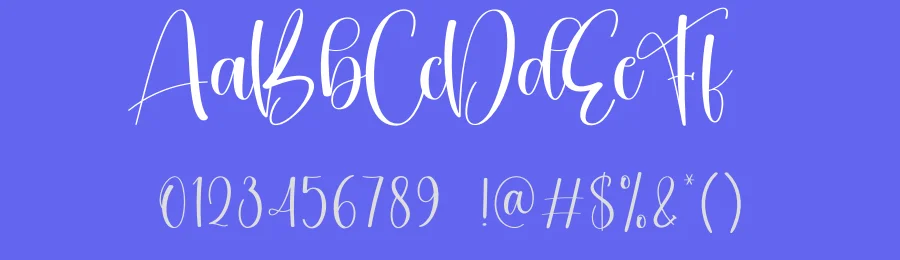 Blushing Style Script Font by creativeletter — Script Handwritten Font — thumbnail 3