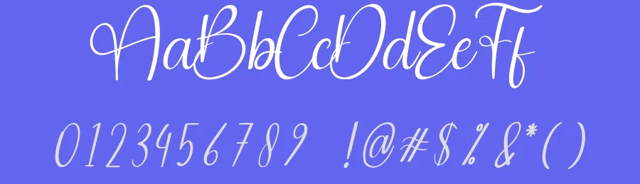 Blushing Sunday Script Font by creativeletter — Script Handwritten Font — thumbnail 3