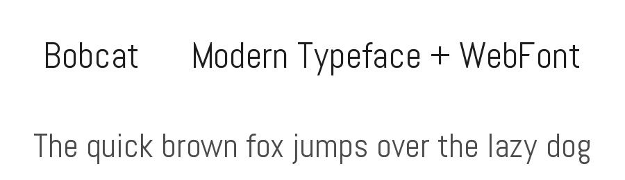 Bobcat – Modern Typeface + WebFont by guxjohn — Sans Serif Font