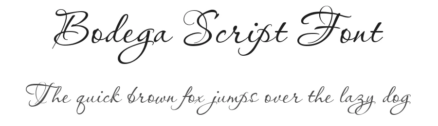 Bodega Script Font by Typeface — Script Handwritten Font