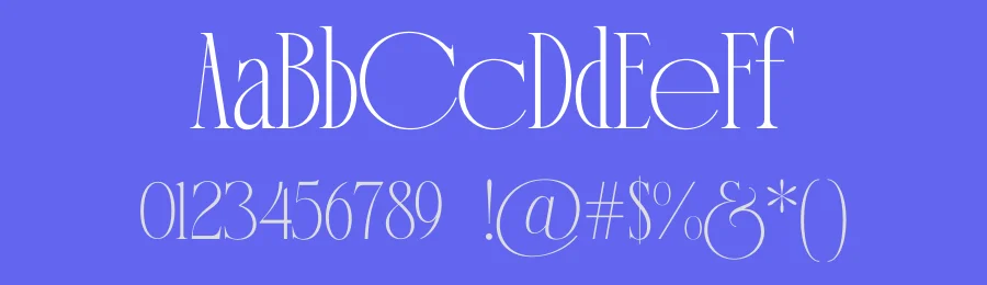 Bodera Font by Rantautype — Serif Font — thumbnail 3