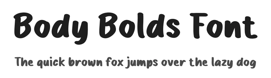 Body Bolds Font by Studio Hello Good — Display Font