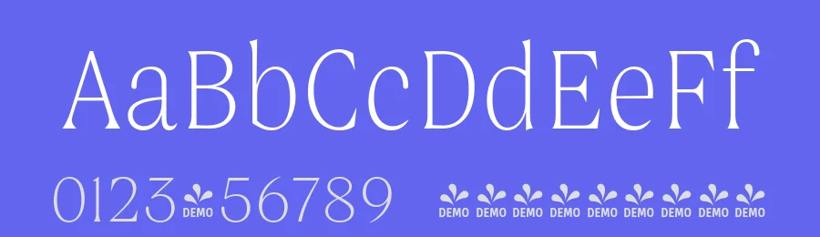 Boita Font by The Northern Block — Serif Font — thumbnail 3