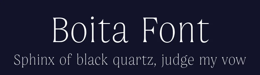 Boita Font by The Northern Block — Serif Font — thumbnail 2