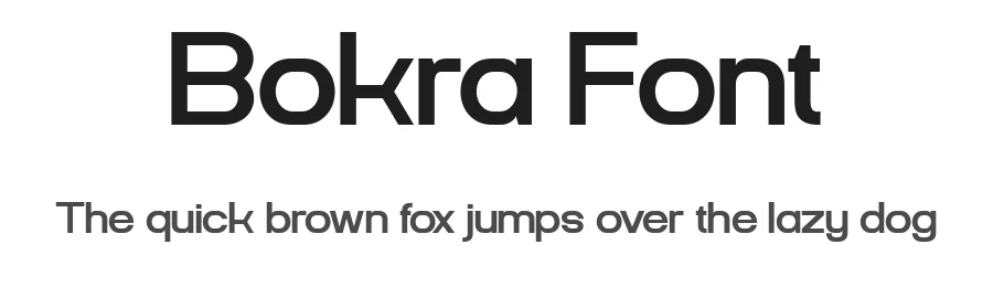 Bokra Font by Flawless And Co — Sans Serif Font
