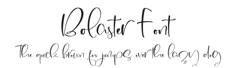 Bolaster Font by letterfabric — Script Handwritten Font