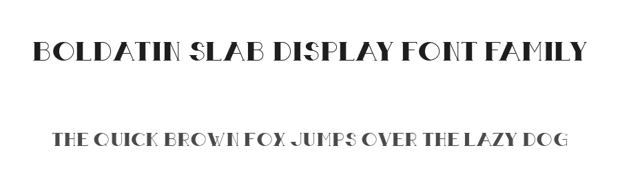 Boldatin Slab Display Font Family by Patria Ari Typestudio — Slab Serif Font