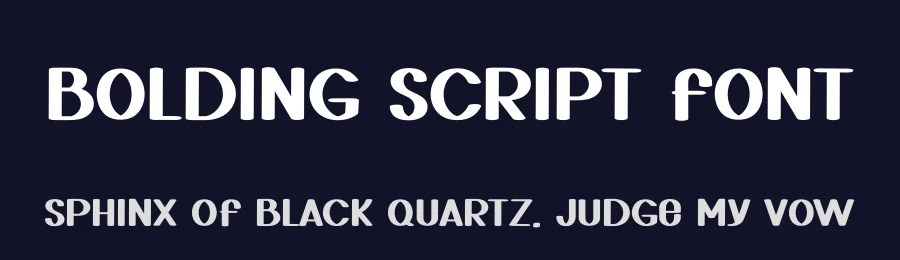 Bolding Script Font by freshtypeink — Display Font — thumbnail 2