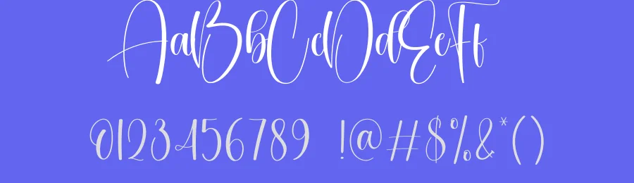 Boldy Calligraphy Font by creativeletter — Script Handwritten Font — thumbnail 3