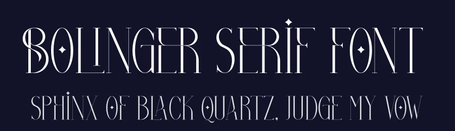 Bolinger Serif Font by Storytype — Serif Font — thumbnail 2