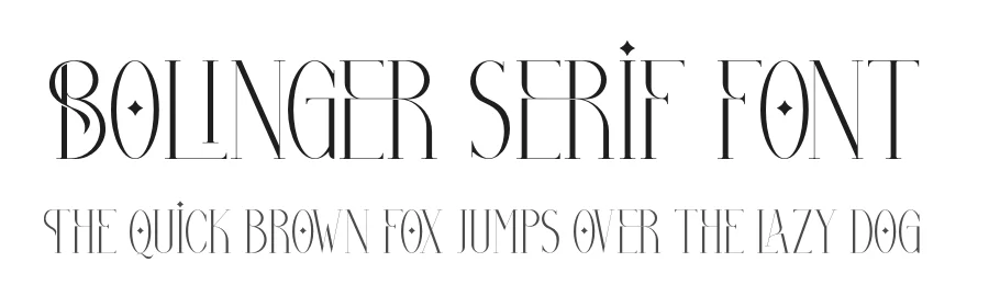 Bolinger Serif Font by Storytype — Serif Font