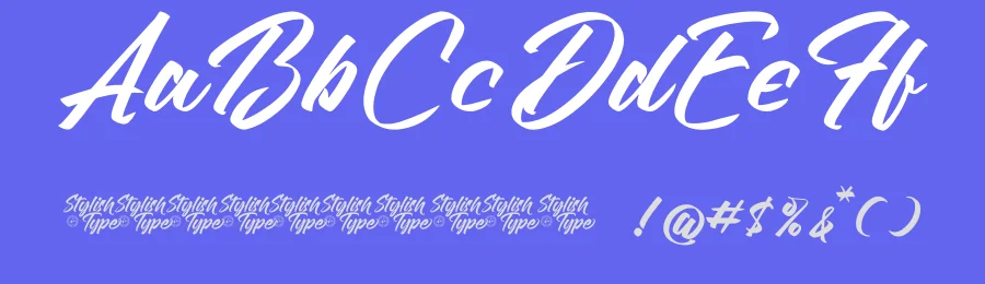 Bollady Krettek – Modern Bold Script Font by stylishtype.co — Script Handwritten Font — thumbnail 3