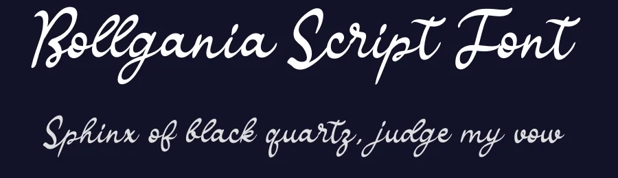 Bollgania Script Font by andikastudio — Script Handwritten Font — thumbnail 2