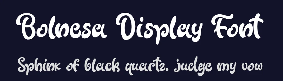 Bolnesa Display Font by Lettersweet — Script Handwritten Font — thumbnail 2
