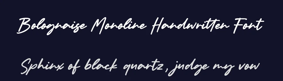 Bolognaise Monoline Handwritten Font by balpirick — Decorative Font — thumbnail 2