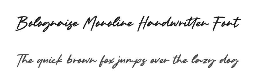 Bolognaise Monoline Handwritten Font by balpirick — Decorative Font