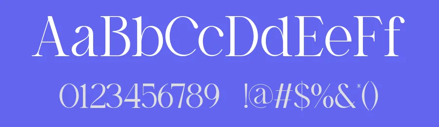 Bolsgi Font by ErmediaStudio — Serif Font — thumbnail 3