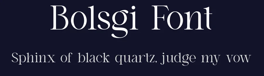 Bolsgi Font by ErmediaStudio — Serif Font — thumbnail 2