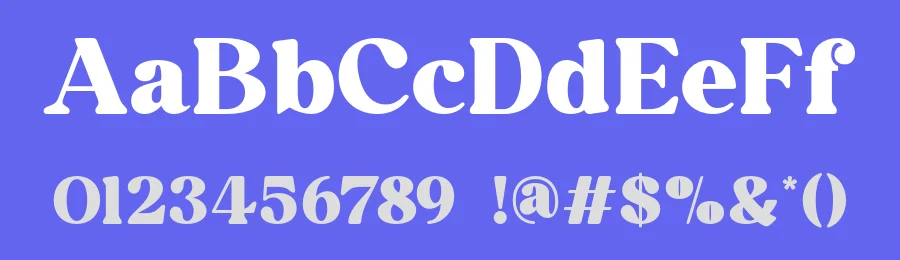 Bolstia – Retro Display Serif Font by roomspace.cl — Display Font — thumbnail 3