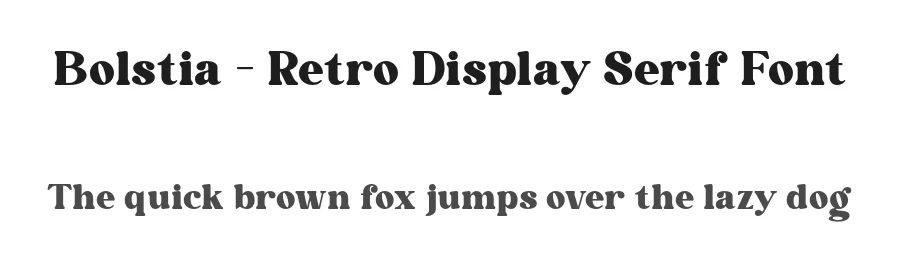Bolstia – Retro Display Serif Font by roomspace.cl — Display Font