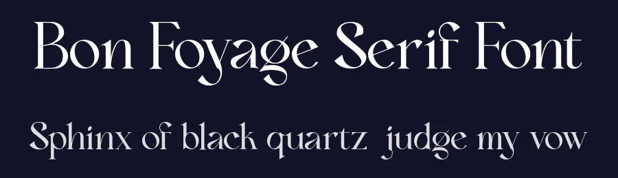 Bon Foyage Serif Font by Dharmas Studio — Serif Font — thumbnail 2