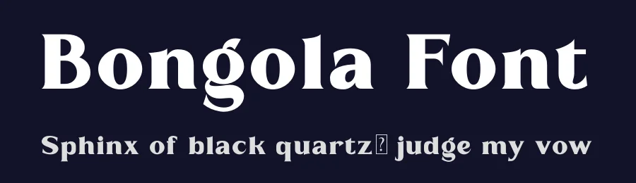 Bongola Font by RTSTD — Serif Font — thumbnail 2