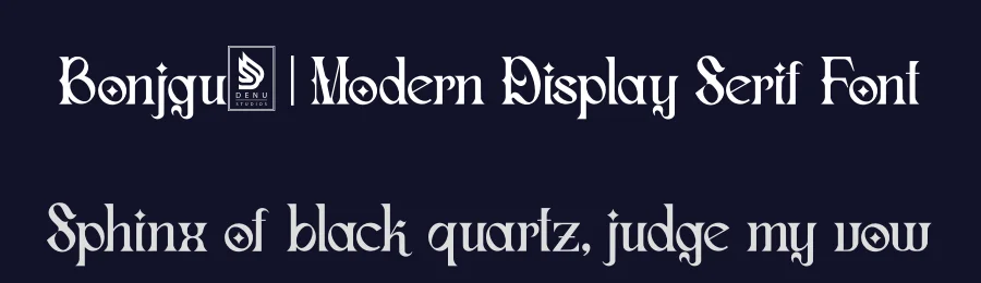 Bonjgure | Modern Display Serif Font by Denustudios — Display Font — thumbnail 2