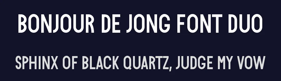Bonjour de Jong Font Duo by wellscriptstudio — Sans Serif Font — thumbnail 2