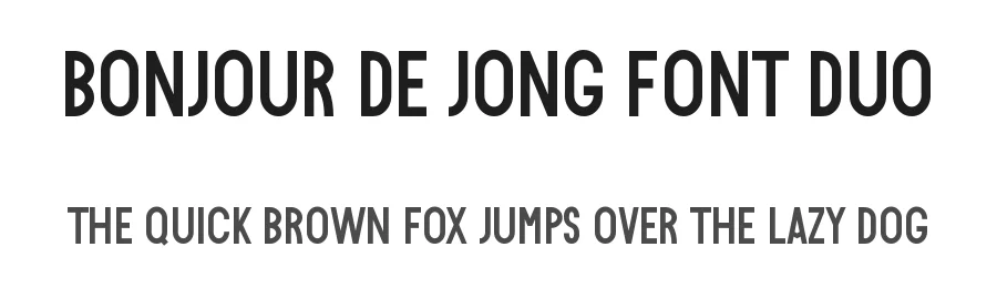 Bonjour de Jong Font Duo by wellscriptstudio β Sans Serif Font