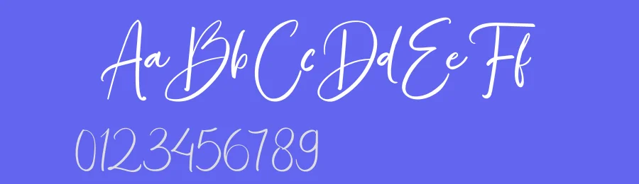 Bonjour Sidney Calligraphy Font by ReyreyBlue — Script Handwritten Font — thumbnail 3