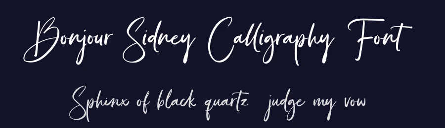 Bonjour Sidney Calligraphy Font by ReyreyBlue — Script Handwritten Font — thumbnail 2