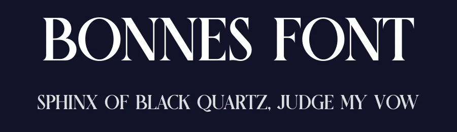 Bonnes Font by Artnivora Studio — Serif Font — thumbnail 2