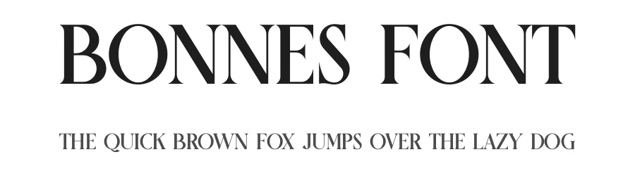 Bonnes Font by Artnivora Studio — Serif Font