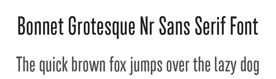 Bonnet Grotesque Nr Sans Serif Font by Astype — Sans Serif Font