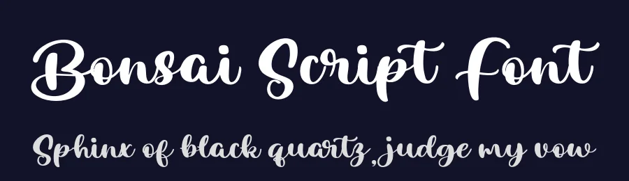 Bonsai Script Font by Black Studio — Script Handwritten Font — thumbnail 2