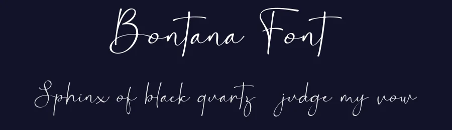Bontana Font by Flawless And Co — Script Handwritten Font — thumbnail 2